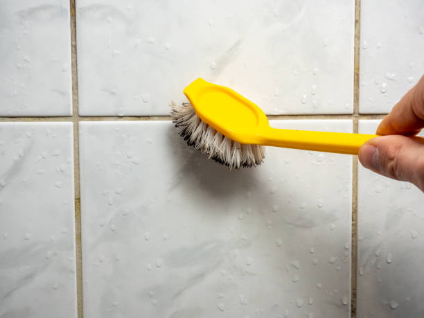Best Affordable Mold Removal  in Galesburg, IL