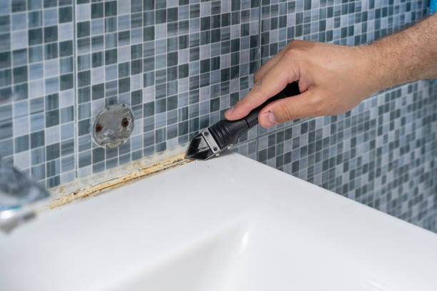 Best Commercial Mold Removal  in Galesburg, IL